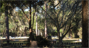 Pine Grove Cemetery