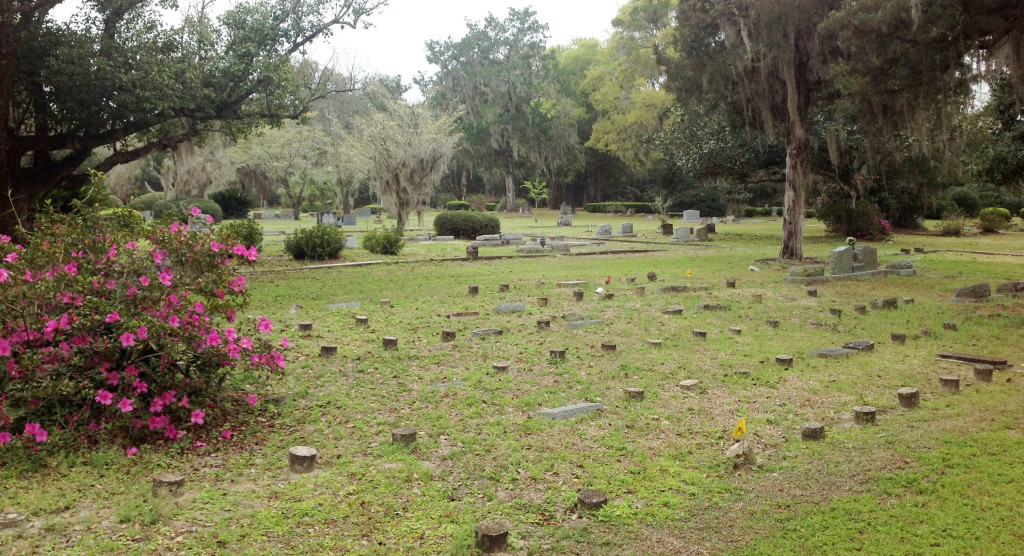 Photo Gallery Place Holder